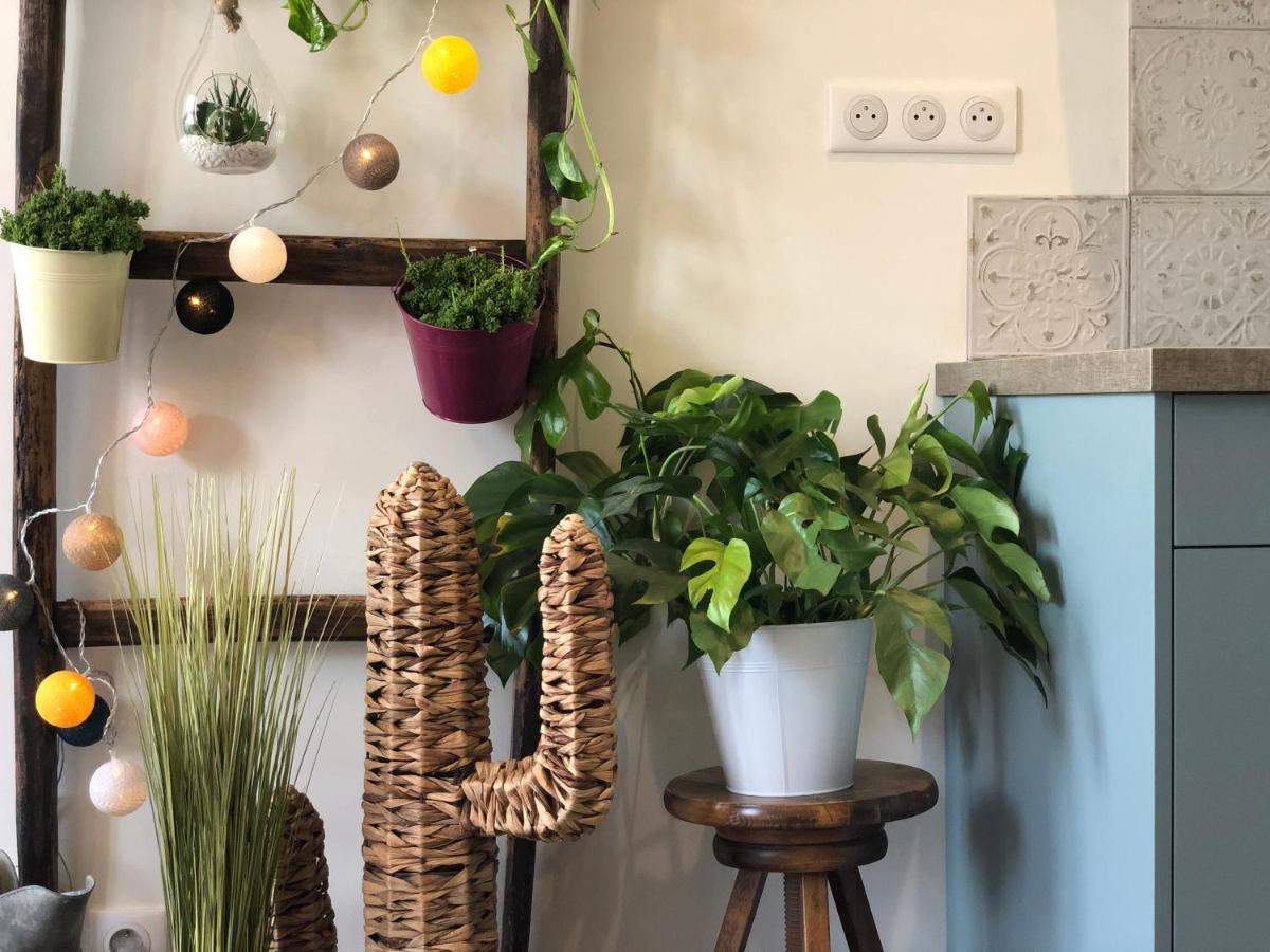Appartement Centre-Ville Avec Terrasse Rustique วานส์ ภายนอก รูปภาพ